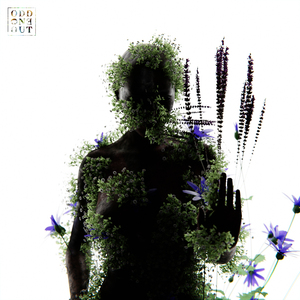 美女穿白丝给我操的免费视频
